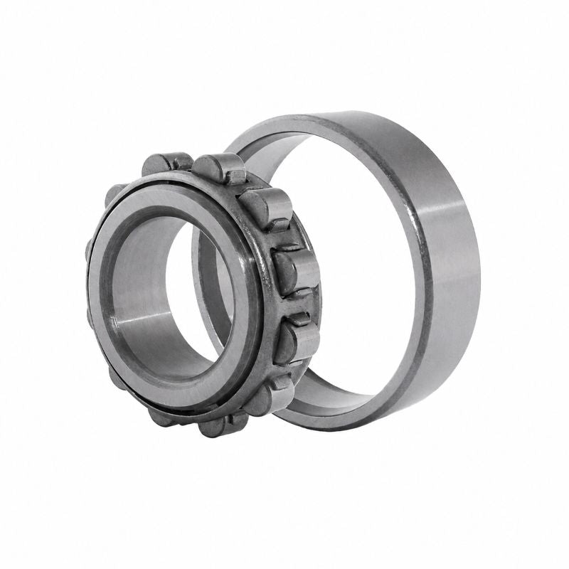 N205 Budget Single Row Cylindrical Roller Bearing 25x52x15mm