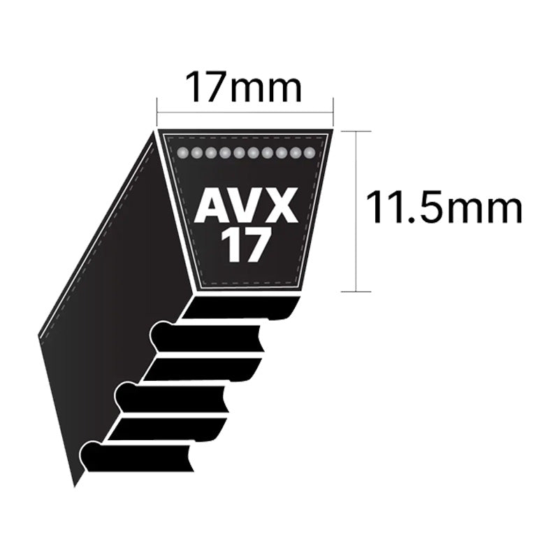 AVX17x1200 Pix AVX-Section Cogged V-Belt