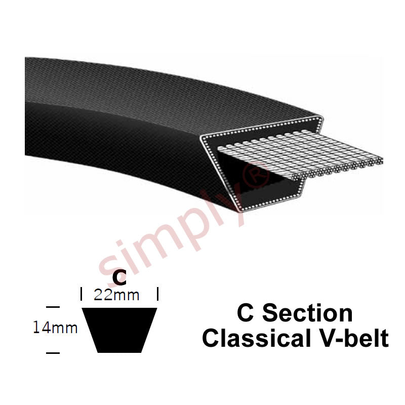 C236 Pix Classical C-Section Muscle V-Belt