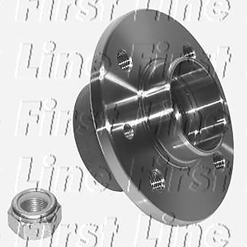 FBK303 Rear Wheel Bearing Kit