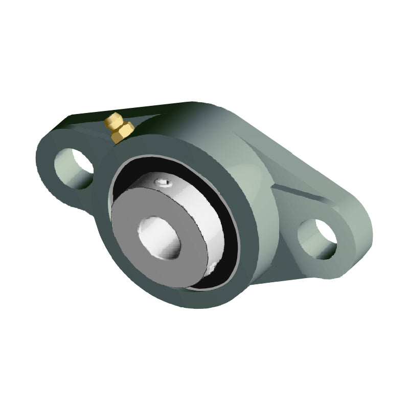 NTN UCFLX06-101D1 Imperial Two Bolt Oval Cast Iron Flange Housing with 1-1/16 inch Bore Insert - Allow 2-3 Days