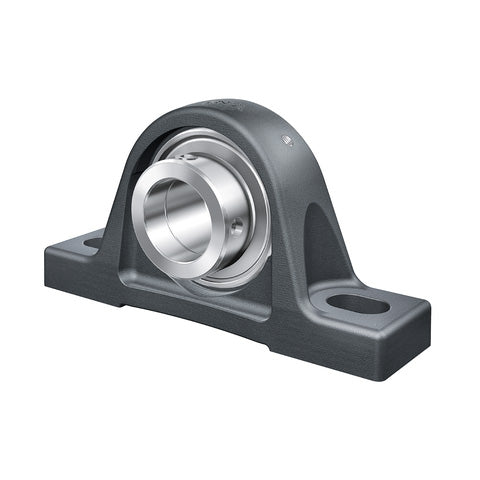 INA RASE60XLFA164 Cast Iron Plummer Block Housing with Eccentric Collar Insert for High Temperatures 60mm Bore