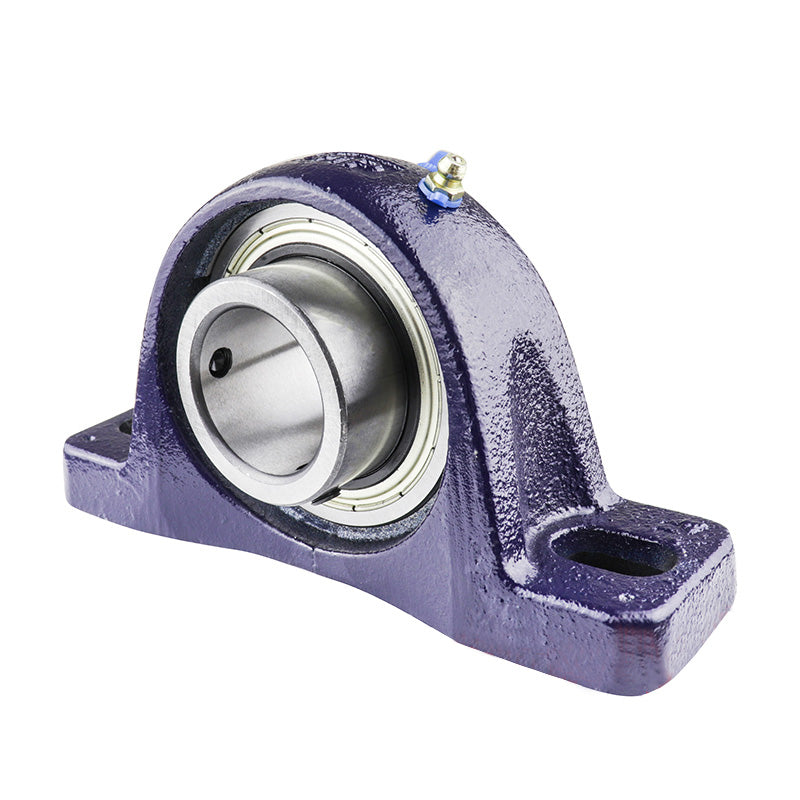 RHP SL45DEC Two Bolt Cast Iron Pillow Block and 45mm Bore Eccentric Collar Full Width Insert