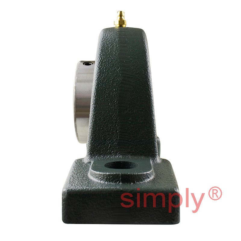 NTN UCPX11D1 Metric Cast Iron Two Bolt Pillow / Plummer Block Housing with 55mm Bore Insert